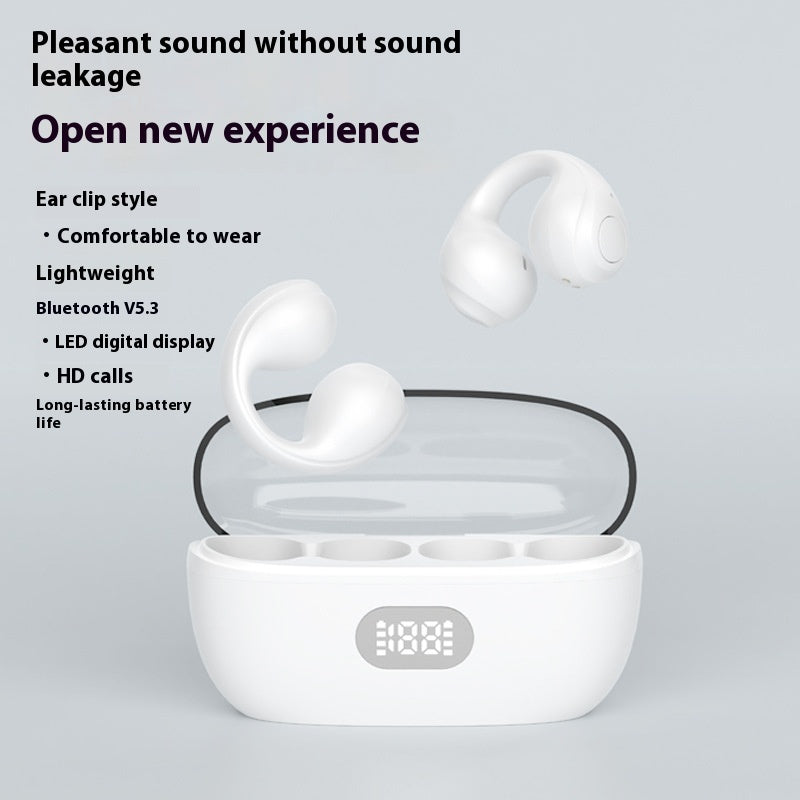 Grote, draadloze sport-oordopjes met clip